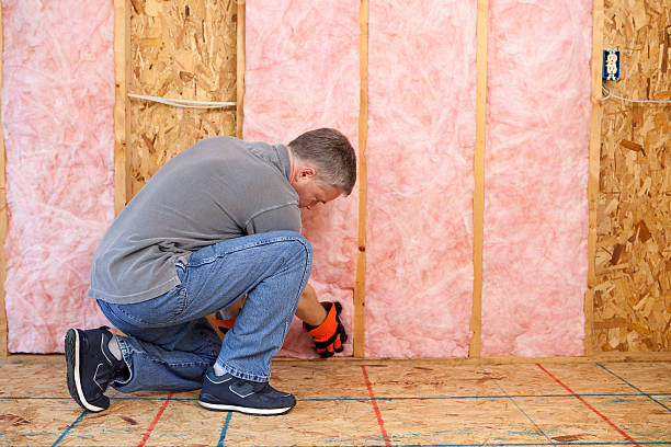 Best Geographic-Specific Insulation Services in Whitmore Lake, MI