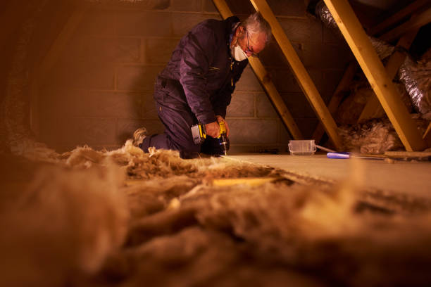 Best Insulation Maintenance and Repair in Whitmore Lake, MI